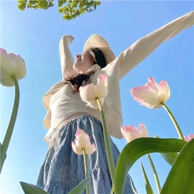 小乌龟的开学日 海报